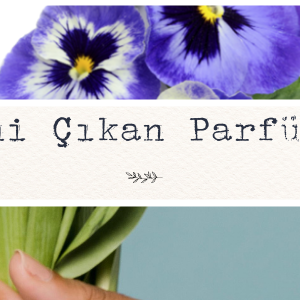 Yeni Çıkan Parfümler Yeni Çıkan Parfümler