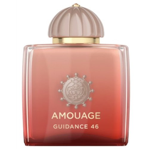 PURE GUIDANCE 46 PURE GUIDANCE 46