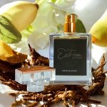 PURE PARADOXE INTENSE